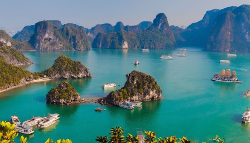 Dịch vụ từ trái tim