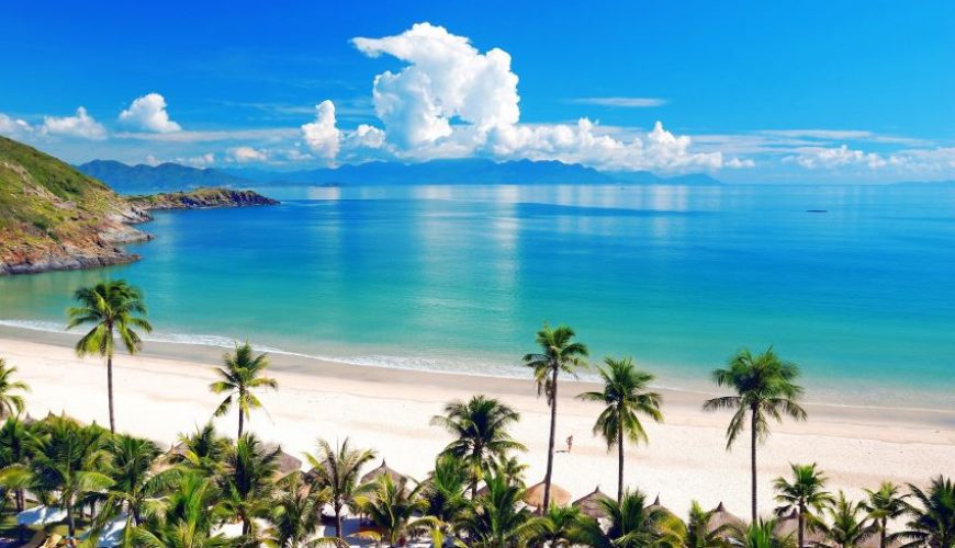 Dịch vụ từ trái tim