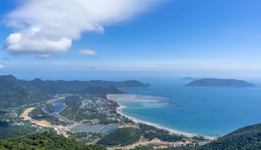 Dịch vụ từ trái tim