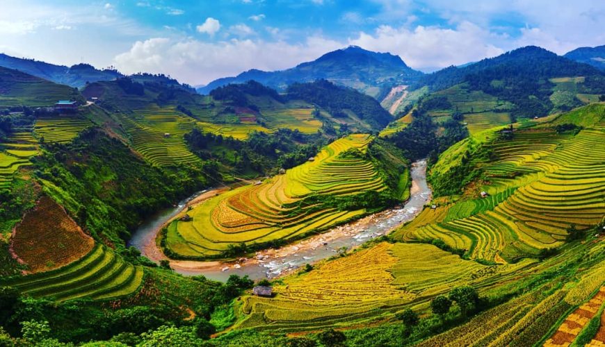 Dịch vụ từ trái tim