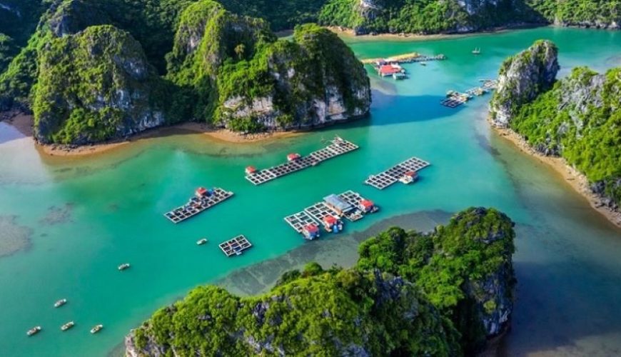 Dịch vụ từ trái tim