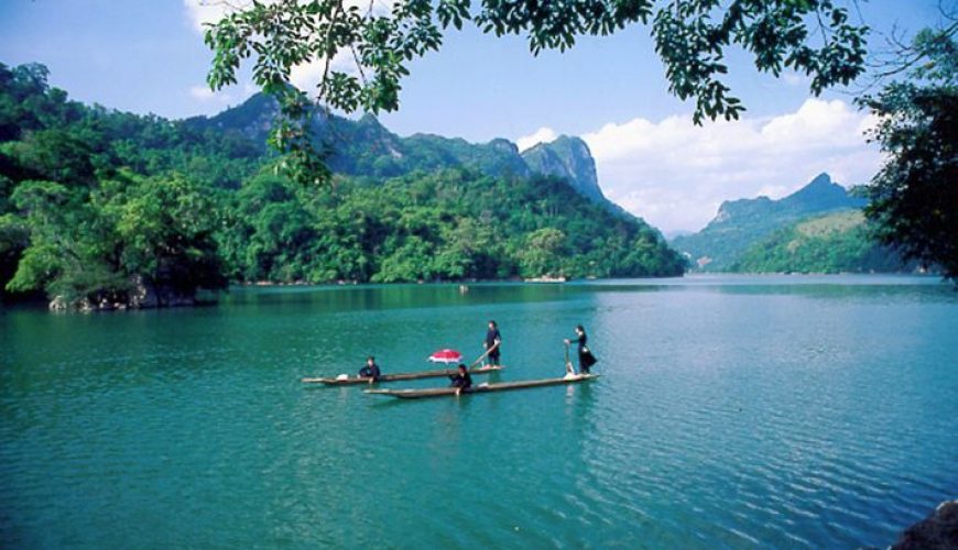 Dịch vụ từ trái tim