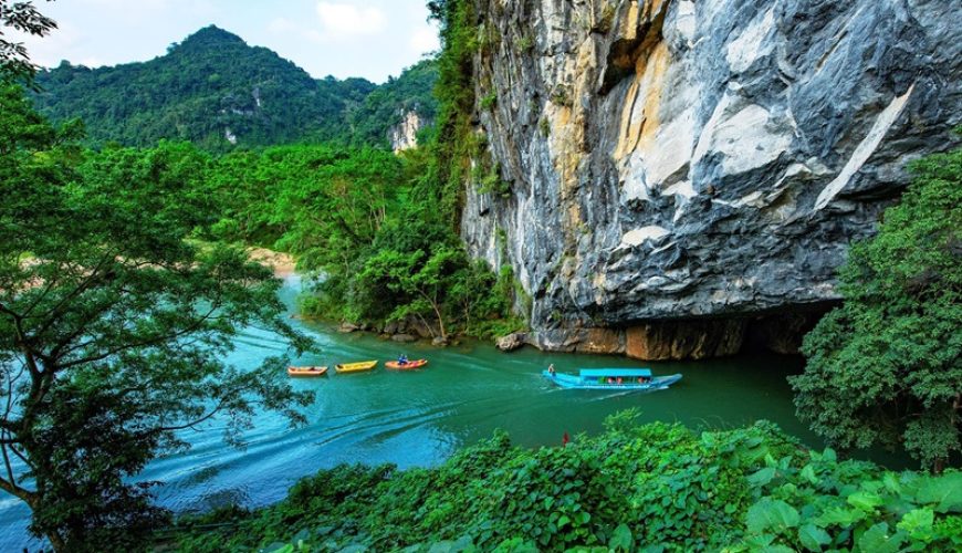 Dịch vụ từ trái tim