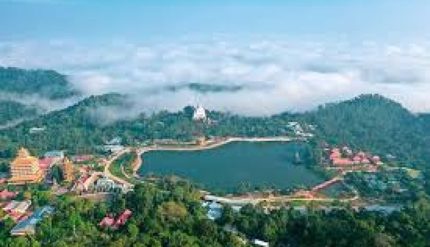 Dịch vụ từ trái tim