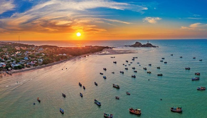 Dịch vụ từ trái tim