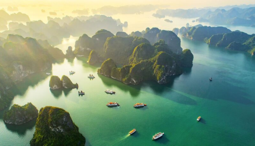 Dịch vụ từ trái tim