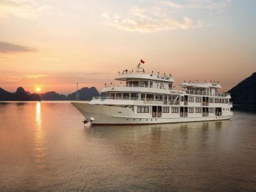 Dịch vụ từ trái tim