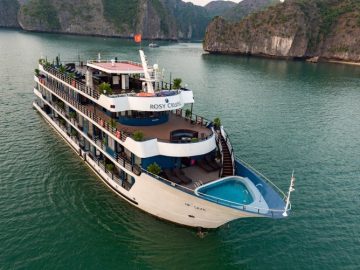 Dịch vụ từ trái tim