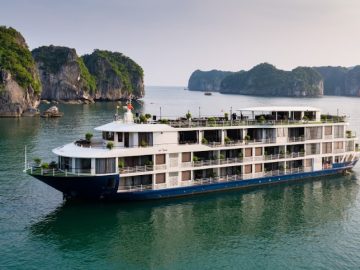 Dịch vụ từ trái tim