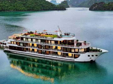Dịch vụ từ trái tim