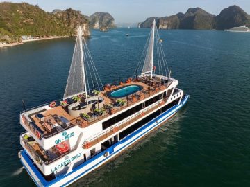 Dịch vụ từ trái tim