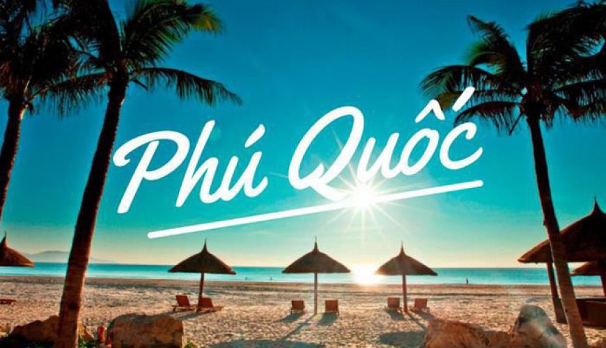 Dịch vụ từ trái tim