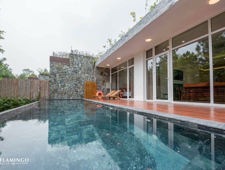 Dịch vụ từ trái tim