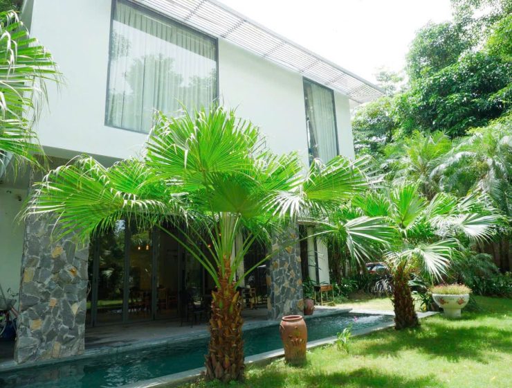 Dịch vụ từ trái tim