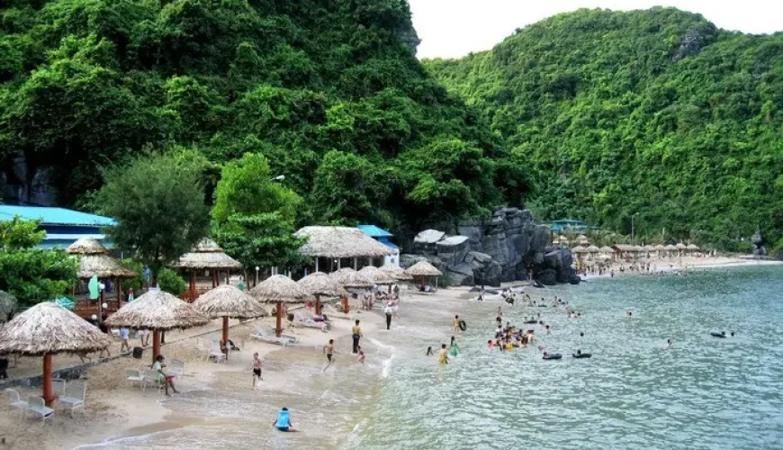 Dịch vụ từ trái tim