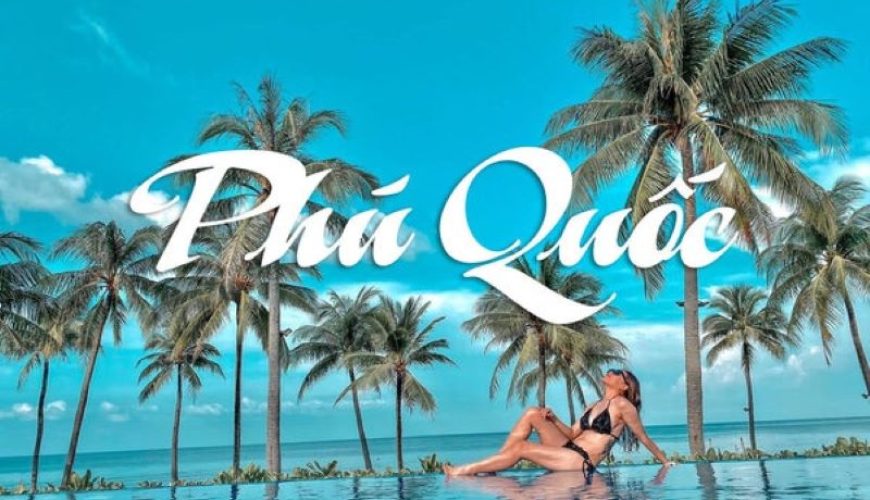 Dịch vụ từ trái tim