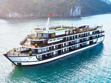 Dịch vụ từ trái tim