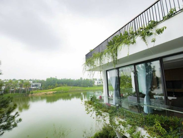 Dịch vụ từ trái tim