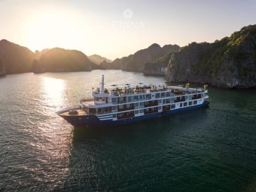 Dịch vụ từ trái tim