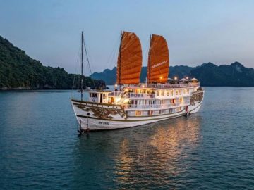 Dịch vụ từ trái tim