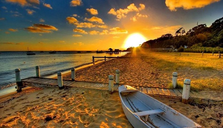 Dịch vụ từ trái tim