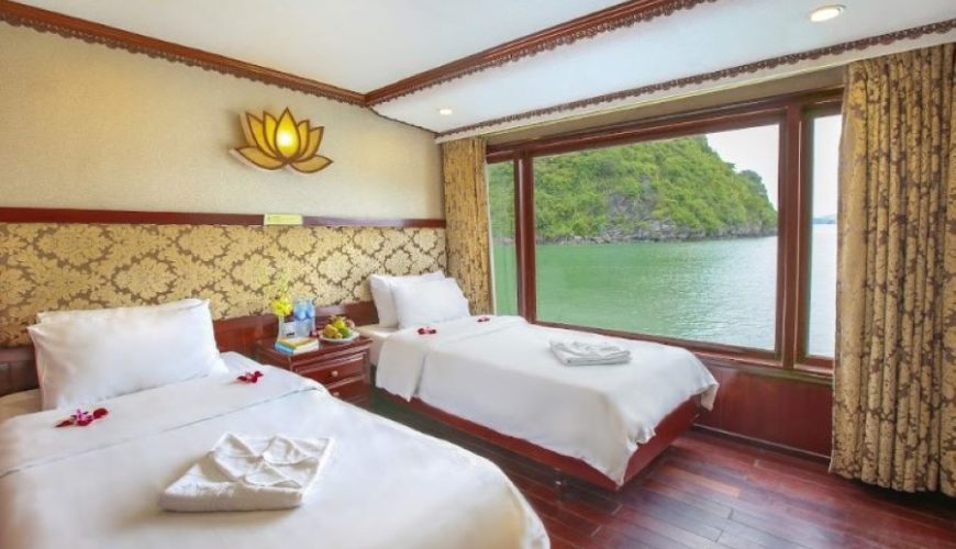 Dịch vụ từ trái tim