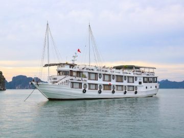 Dịch vụ từ trái tim