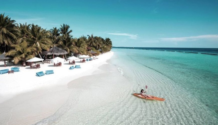 Dịch vụ từ trái tim