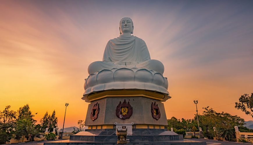 Dịch vụ từ trái tim