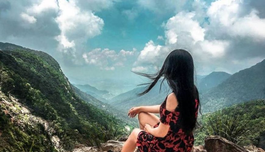 Dịch vụ từ trái tim