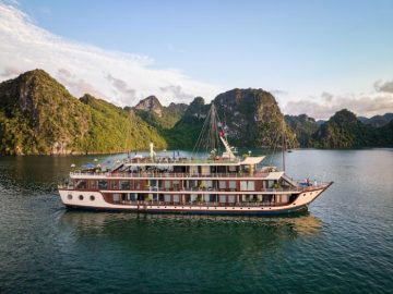 Dịch vụ từ trái tim
