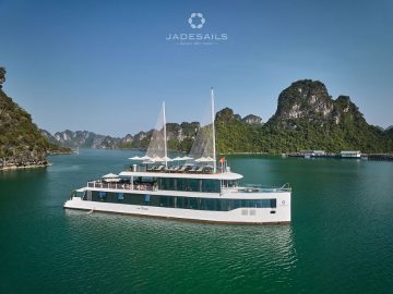 Dịch vụ từ trái tim