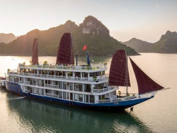 Dịch vụ từ trái tim