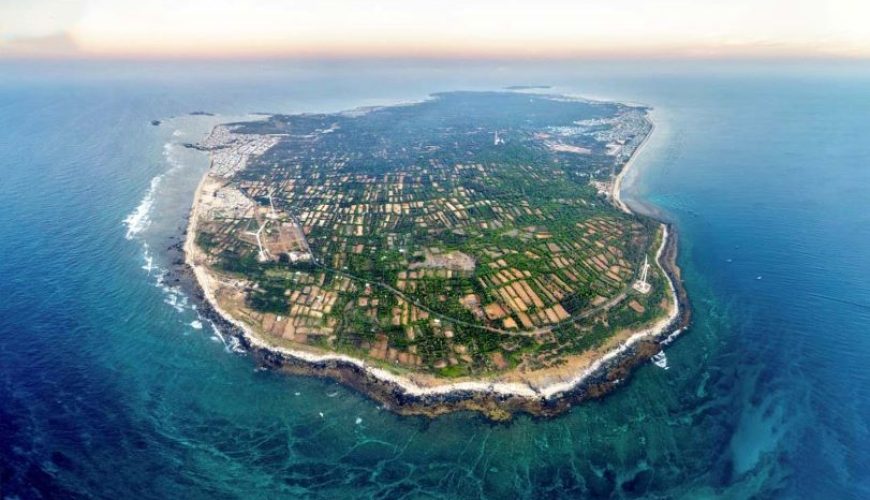 Dịch vụ từ trái tim