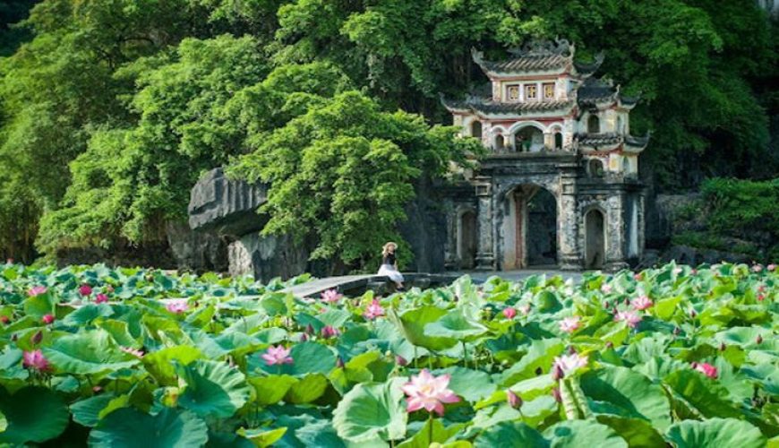 Dịch vụ từ trái tim