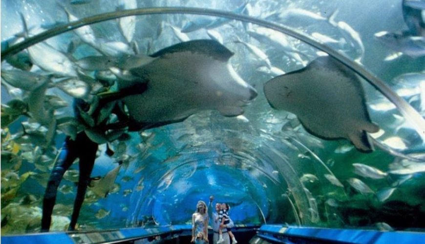 Dịch vụ từ trái tim