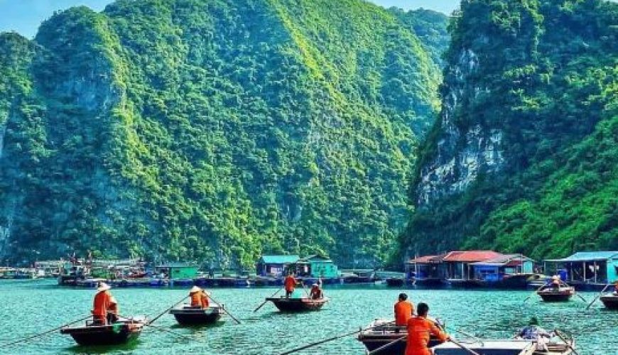 Dịch vụ từ trái tim