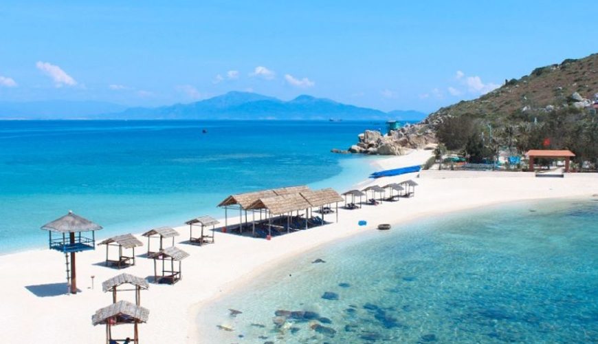 Dịch vụ từ trái tim