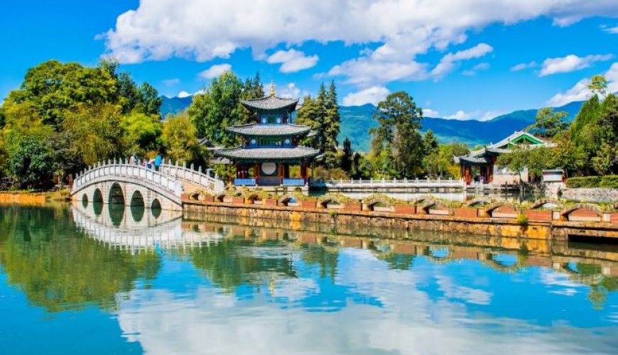 Dịch vụ từ trái tim