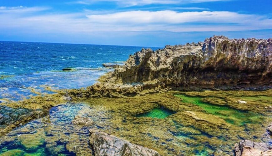 Dịch vụ từ trái tim