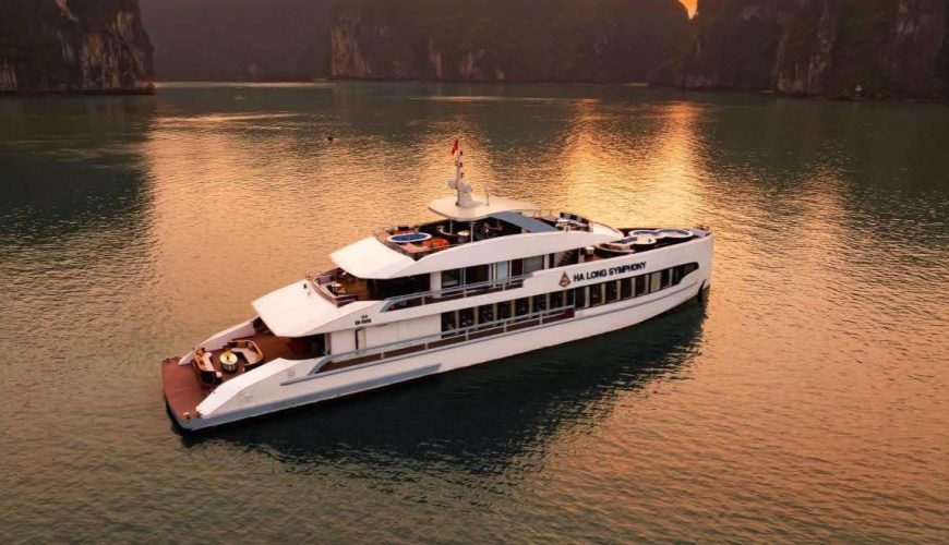 Dịch vụ từ trái tim