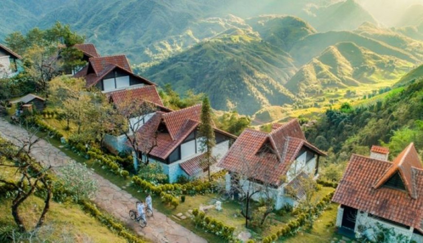 Dịch vụ từ trái tim