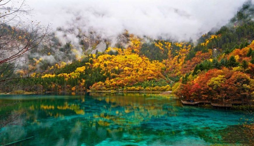 Dịch vụ từ trái tim