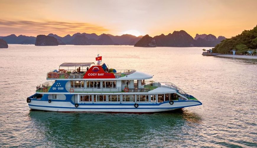 Dịch vụ từ trái tim