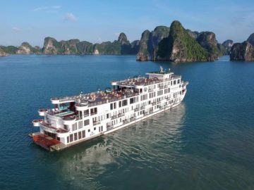 Dịch vụ từ trái tim