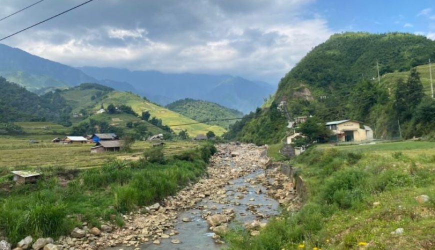 Dịch vụ từ trái tim