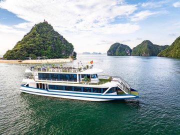 Dịch vụ từ trái tim