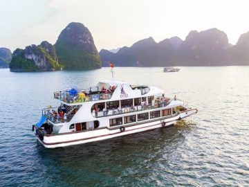 Dịch vụ từ trái tim