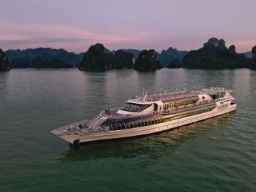 Dịch vụ từ trái tim