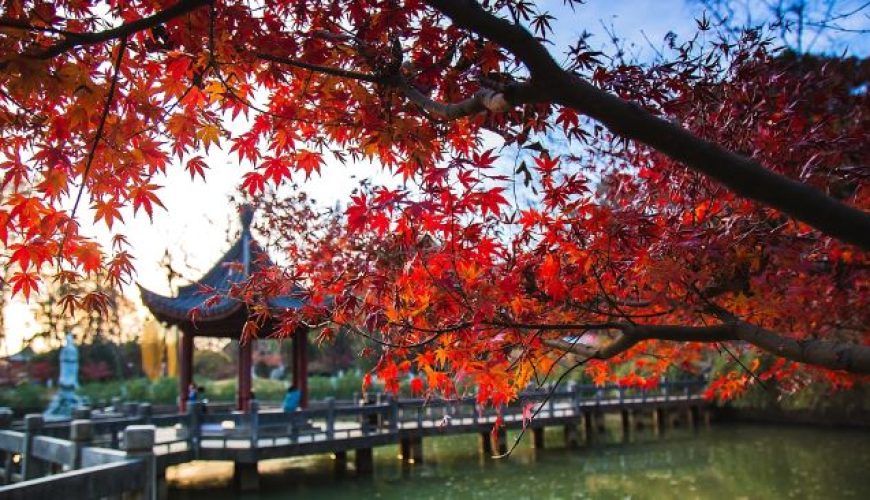 Dịch vụ từ trái tim